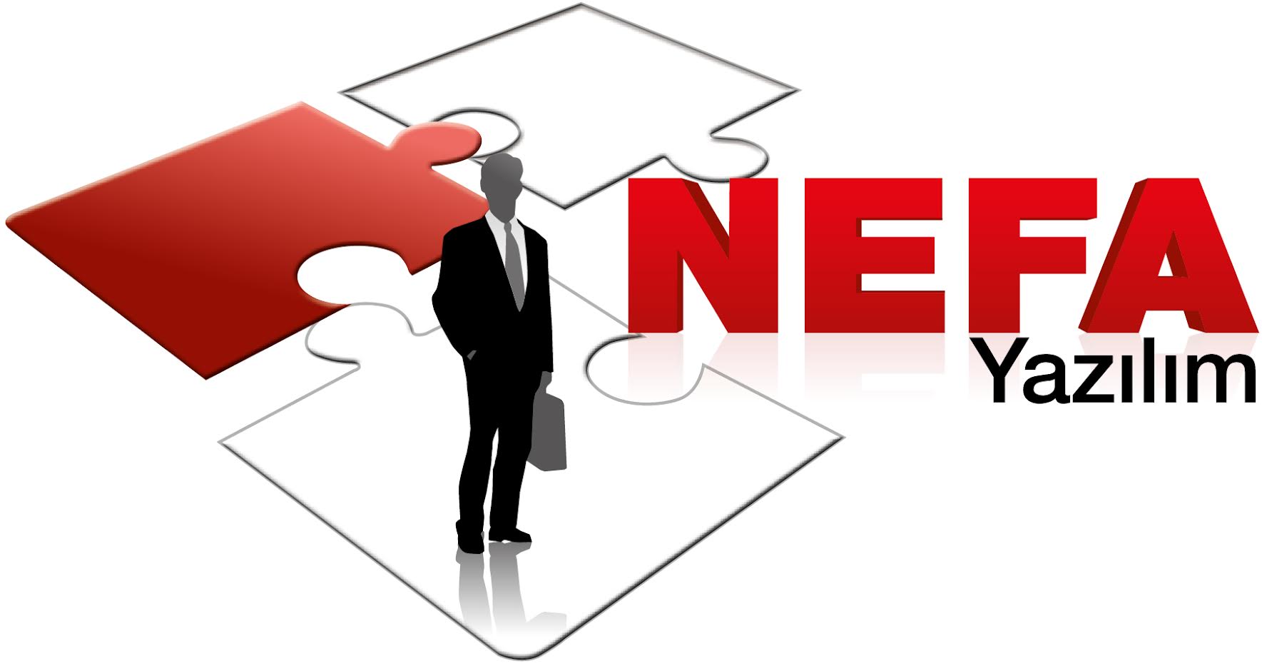 Nefa Logo