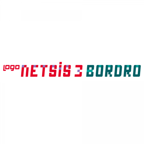 Netsis 3 Bordro